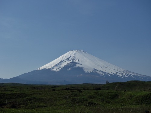 P4270277.jpg