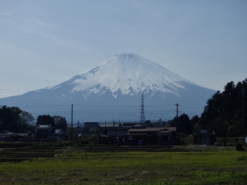 P4270278.jpg