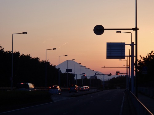 P4270283.jpg