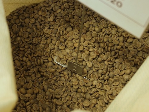 PA050338.jpg