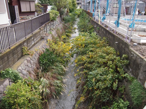 PA160439.jpg