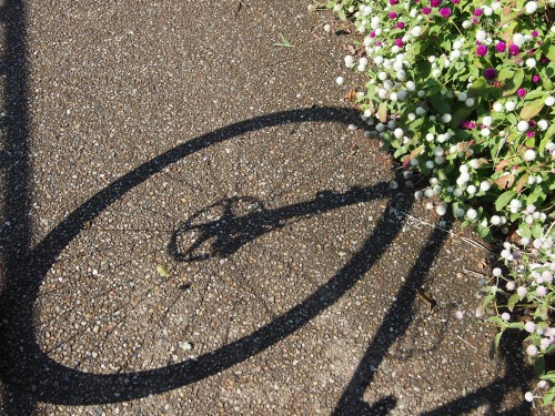 PA300530.jpg